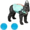 Frisco Active Dog Life Jacket & Frisco Foam Rubber Floating Fetch Ball No Squeak Dog Toy -Cat Dog Supply Store 303364 MAIN. AC SS1800 V1623163652