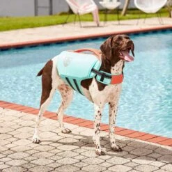 Frisco Active Dog Life Jacket & Frisco Foam Rubber Floating Fetch Ball No Squeak Dog Toy -Cat Dog Supply Store 303364 PT3. AC SS1800 V1623163058