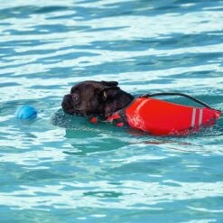 Frisco Active Dog Life Jacket & Frisco Foam Rubber Floating Fetch Ball No Squeak Dog Toy -Cat Dog Supply Store 303364 PT8. AC SS1800 V1623163654