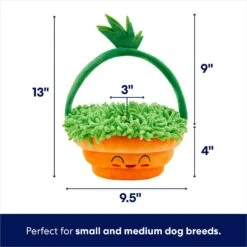 Frisco Easter Basket Hide & Seek Puzzle Plush Squeaky Dog Toy -Cat Dog Supply Store 304982 PT1. AC SS1800 V1702665736