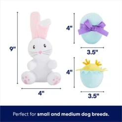 Frisco Easter Basket Hide & Seek Puzzle Plush Squeaky Dog Toy -Cat Dog Supply Store 304982 PT2. AC SS1800 V1702665735