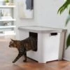 Frisco Multi-Function Covered Cat Litter Box, Jumbo -Cat Dog Supply Store 309855 MAIN. AC SS1800 V1631817414