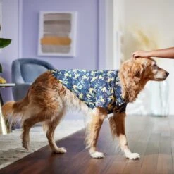 Disney Lion King's Simba Jungle Dog & Cat Shirt -Cat Dog Supply Store 311842 PT8. AC SS1800 V1643323713