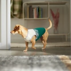 Frisco Tropical Palm Dog & Cat T-Shirt -Cat Dog Supply Store 312072 PT8. AC SS1800 V1644425897