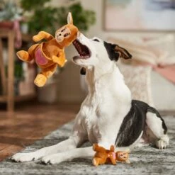 Frisco Valentine Kangaroo & Joey Plush Squeaky Dog Toy -Cat Dog Supply Store 312899 PT3. AC SS1800 V1701364918