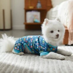 Frisco Celebration Dog & Cat PJs -Cat Dog Supply Store 315105 PT8. AC SS1800 V1646437758