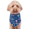 Frisco Celebration Dog & Cat Bandana 1 Frisco Celebration Dog & Cat Bandana -Cat Dog Supply Store 315133 MAIN. AC SS1800 V1646438946