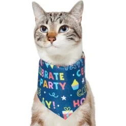 Frisco Celebration Dog & Cat Bandana 11 Frisco Celebration Dog & Cat Bandana -Cat Dog Supply Store 315133 PT2. AC SS1800 V1646439780