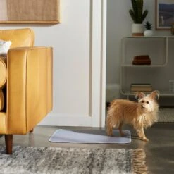 Frisco Washable Dog Potty Pads -Cat Dog Supply Store 315712 PT3. AC SS1800 V1644880410