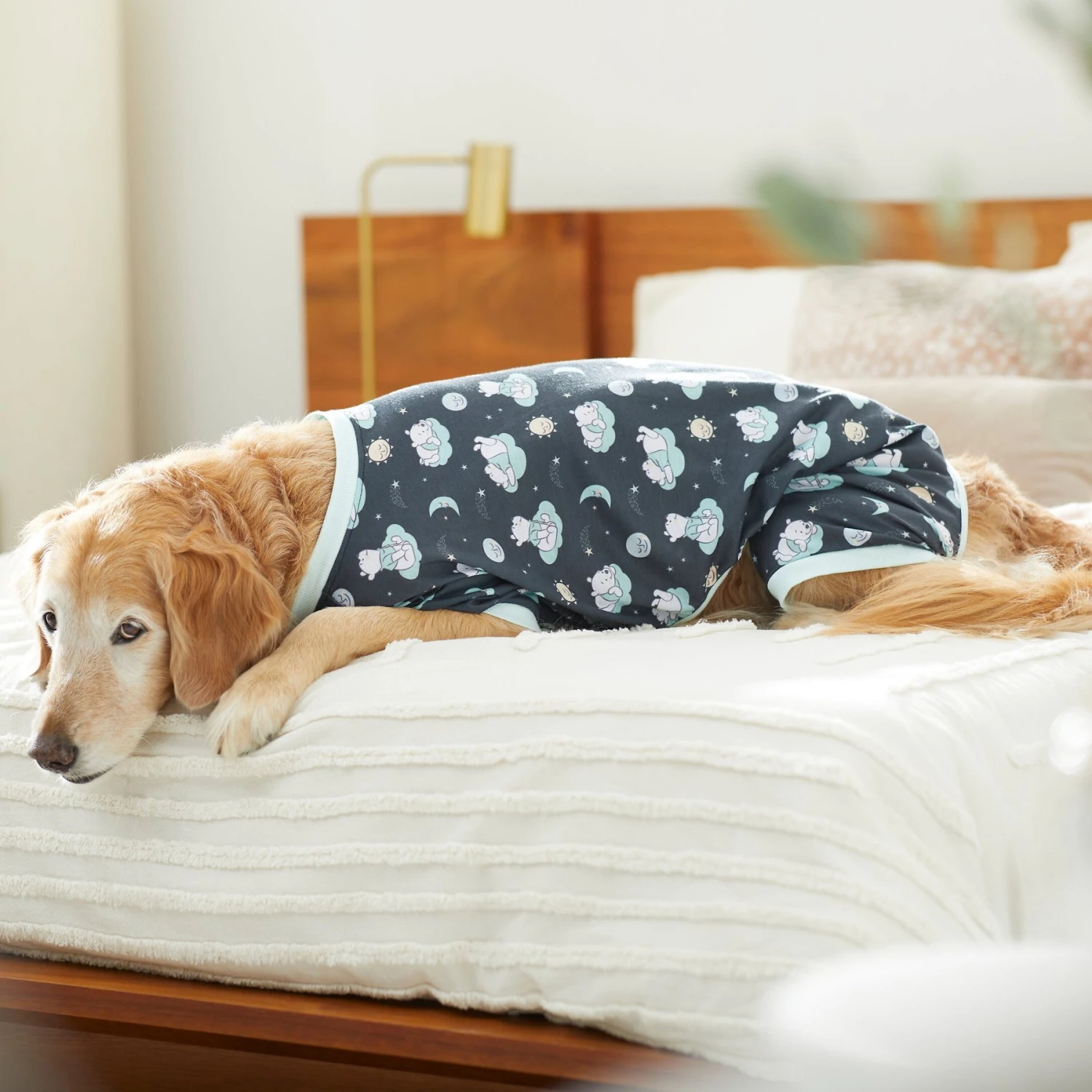 Disney Winnie The Pooh Nite Time Dog & Cat Pajama 8 Disney Winnie The Pooh Nite Time Dog & Cat Pajama - Image 6