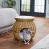 Frisco Round Wicker Cat Condo With Top Perch -Cat Dog Supply Store 316646 MAIN. AC SS1800 V1633727580