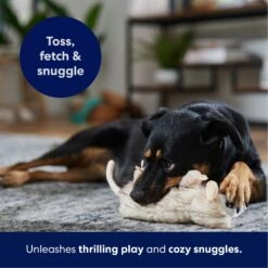 Frisco Realistic Opossum Plush Squeaky Dog Toy -Cat Dog Supply Store 316929 PT4. AC SS1800 V1695760990