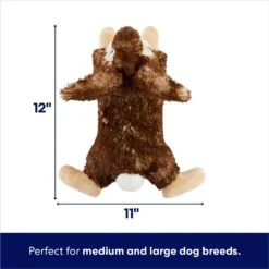 Frisco Realistic Rabbit Plush Squeaky Dog Toy -Cat Dog Supply Store 316939 PT1. AC SS1800 V1695760927