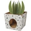 Frisco Potted Succulent Cardboard Cat House -Cat Dog Supply Store 317723 MAIN. AC SS1800 V1688677259