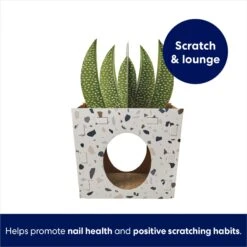 Frisco Potted Succulent Cardboard Cat House 10 Frisco Potted Succulent Cardboard Cat House -Cat Dog Supply Store 317723 PT2. AC SS1800 V1689342085