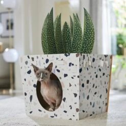 Frisco Potted Succulent Cardboard Cat House 12 Frisco Potted Succulent Cardboard Cat House -Cat Dog Supply Store 317723 PT4. AC SS1800 V1688677260