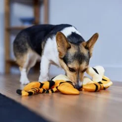 Disney Tigger Bungee Plush Squeaky Dog Toy -Cat Dog Supply Store 328769 PT3. AC SS1800 V1657718551