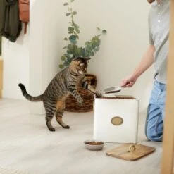 Frisco Premium Airtight Dog & Cat Food Storage Canister With Scoop -Cat Dog Supply Store 331486 PT3. AC SS1800 V1657656891