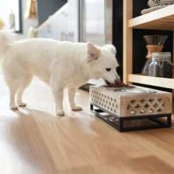 Frisco Premium Wood Elevated Stainless Steel Double Diner Dog & Cat Bowl, 3 Cup -Cat Dog Supply Store 331507 PT2. AC SS1800 V1657656894