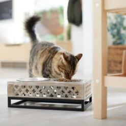 Frisco Premium Wood Elevated Stainless Steel Double Diner Dog & Cat Bowl, 3 Cup -Cat Dog Supply Store 331507 PT3. AC SS1800 V1657656894