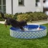 Frisco Outdoor Dog Swimming Pool, Rubber Ducky -Cat Dog Supply Store 331660 MAIN. AC SS1800 V1646178232