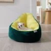Frisco Avocado Cat & Dog Bed -Cat Dog Supply Store 333856 MAIN. AC SS1800 V1658717997