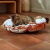 Frisco Calico Cat Design Adjustable Cat Bolster Bed -Cat Dog Supply Store 333860 MAIN. AC SS1800 V1658718002