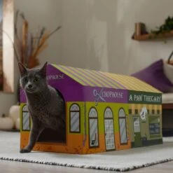 Frisco Halloween A-Paw-Thecary & Chop House Cardboard Cat House With Catnip -Cat Dog Supply Store 344002 PT3. AC SS1800 V1657657029