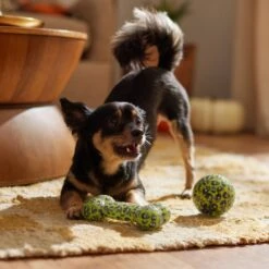 Frisco Halloween Glow In The Dark TPR Squeaky Bone & Ball Dog Toy -Cat Dog Supply Store 344130 PT3. AC SS1800 V1657657042