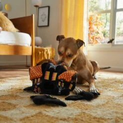 Frisco Halloween Haunted House Hide & Seek Puzzle Plush Squeaky Dog Toy -Cat Dog Supply Store 344136 PT3. AC SS1800 V1657657042