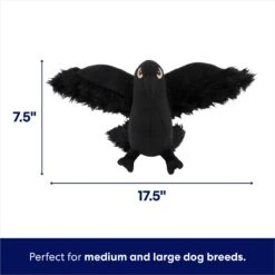 Frisco Halloween Crow Plush Squeaky Dog Toy -Cat Dog Supply Store 344156 PT1. AC SS1800 V1689877960