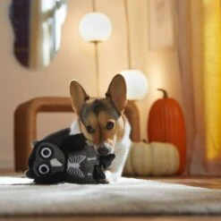 Frisco Halloween Spooky Owl Plush Squeaky Dog Toy 9 Frisco Halloween Spooky Owl Plush Squeaky Dog Toy -Cat Dog Supply Store 344162 PT3. AC SS1800 V1657657049