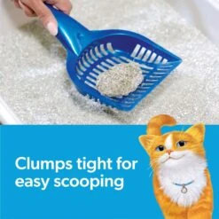 Fresh Step Febreze Freshness Gain Scented Clumping Clay Cat Litter -Cat Dog Supply Store 346442 PT2. AC SS1800 V1694463360