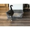 Shirley K's Senior Cat Litter Box, X-Large -Cat Dog Supply Store 347408 MAIN. AC SS1800 V1642013797