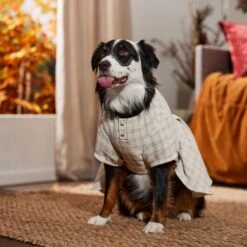 Frisco Tweed Weave Ruffle Skirt Dog & Cat Dress 14 Frisco Tweed Weave Ruffle Skirt Dog & Cat Dress -Cat Dog Supply Store 353649 PT6. AC SS1800 V1660750168