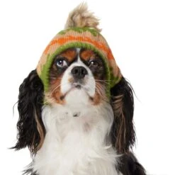 Frisco Striped Poof Dog & Cat Knitted Hat 10 Frisco Striped Poof Dog & Cat Knitted Hat -Cat Dog Supply Store 353793 PT2. AC SS1800 V1659008241