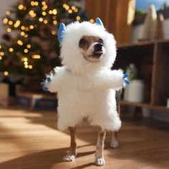 Frisco Front Walking Abominable Snowman Dog & Cat Costume -Cat Dog Supply Store 358037 PT7. AC SS1800 V1661797473