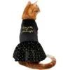 Frisco Kiss Me At Midnight Dog & Cat Dress -Cat Dog Supply Store 358044 MAIN. AC SS1800 V1660745164