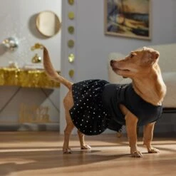 Frisco Kiss Me At Midnight Dog & Cat Dress 14 Frisco Kiss Me At Midnight Dog & Cat Dress -Cat Dog Supply Store 358044 PT7. AC SS1800 V1661799831