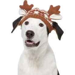 Frisco Antler Fair Isle Dog & Cat Hat -Cat Dog Supply Store 358313 PT2. AC SS1800 V1660764826