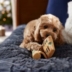 Frisco Holiday Santa's List Plush & TPR Inside Dog Toy -Cat Dog Supply Store 360970 PT3. AC SS1800 V1661874421