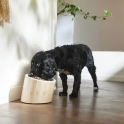 Frisco Elevated Slanted Bamboo Melamine Non-Skid Dog Bowl With Bamboo Stand -Cat Dog Supply Store 363387 PT2. AC SS1800 V1657657267