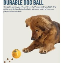 Planet Dog Orbee-Tuff Essentials Vanilla Scented Interactive Dog Ball Treat Dispenser Toy, Yellow -Cat Dog Supply Store 367765 PT4. AC SS1800 V1644525693