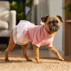 Frisco Tulle Hearts Dog & Cat Dress 19 Frisco Tulle Hearts Dog & Cat Dress -Cat Dog Supply Store 371070 PT8. AC SS1800 V1700690505
