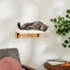 Frisco Cushioned Wall Mounted Cat Wall Shelf -Cat Dog Supply Store 373443 MAIN. AC SS1800 V1673025637
