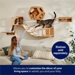 Frisco Hexagon Wall Mounted Cat Wall Shelf -Cat Dog Supply Store 373445 PT3. AC SS1800 V1675692702