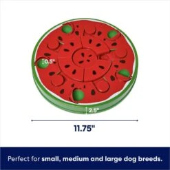 Frisco Watermelon Interactive Puzzle Dog Toy, Advanced -Cat Dog Supply Store 506322 PT1. AC SS1800 V1675200066