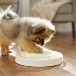 Frisco Tiered Cake Interactive Puzzle Dog Toy, Easy -Cat Dog Supply Store 506346 PT5. AC SS1800 V1674666566