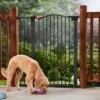 Frisco Outdoor Steel Arch Extra Tall Auto-Close Dog Gate -Cat Dog Supply Store 507102 MAIN. AC SS1800 V1668736255