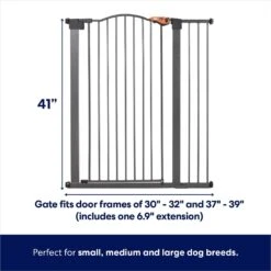 Frisco Outdoor Steel Arch Extra Tall Auto-Close Dog Gate -Cat Dog Supply Store 507102 PT1. AC SS1800 V1668737488